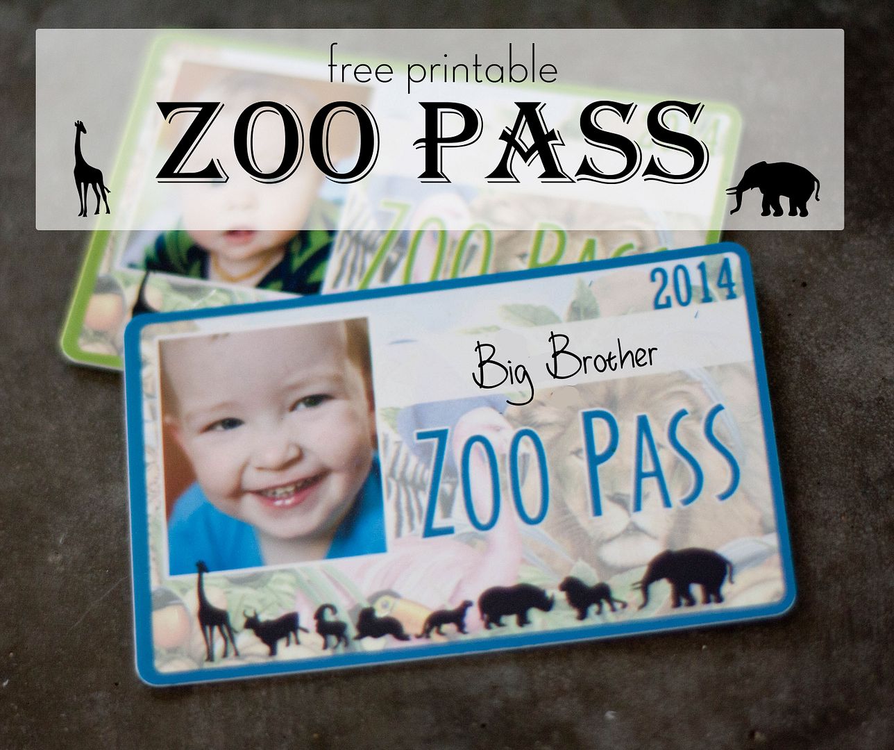 More Like Home ZOO Pass {Free Printable}